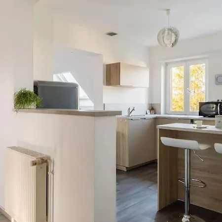 Climatise 70 M2, Proximite De Colmar Apartament *