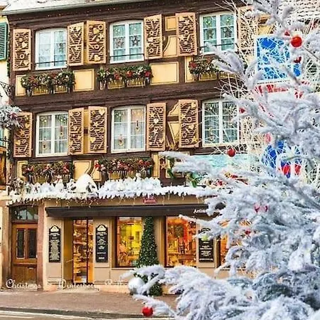 Climatise 70 M2, Proximite De Colmar Sainte-Croix-en-Plaine