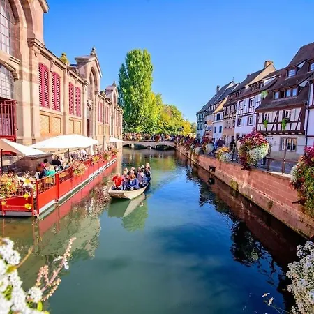 Apartament Climatise 70 M2, Proximite De Colmar *