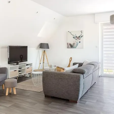 Climatise 70 M2, Proximite De Colmar Apartament