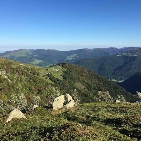 Climatise 70 M2, Proximite De Colmar *
